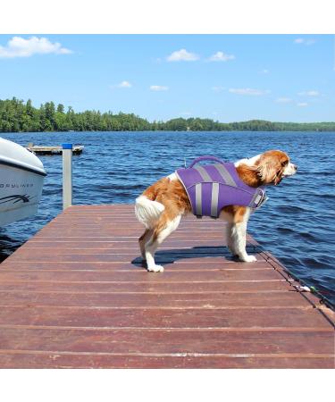 Kuoser Dog Life Jacket - Durable & Secure Buoyancy Vest for Small Medium & Large Dogs - High-Visibility Purple - Buy Online on GoSupps.com