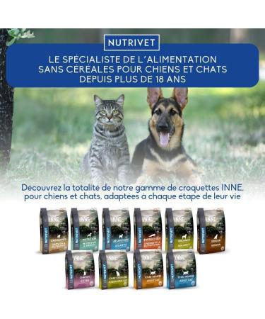 NUTRIVET INNE Salmon Oil for Dogs & Cats - Rich in Omega 3 & 6 - 250 ML Pump Bottle - Premium Supplementary Feed - Buy Online on GoSupps.com