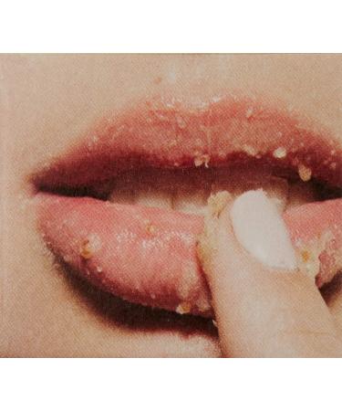 FarmHouse Fresh Beach Punch Lip Polish Pineapple 1 Count (Pack of 1) - Buy Online on GoSupps.com