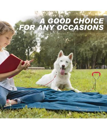 Super Floor Anchor Dog Leash | Earth Anchor & Skewers for Large Dogs | Red Spike for Beach Use - Buy Online on GoSupps.com