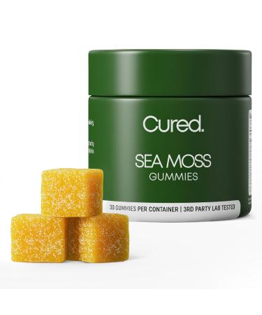 Cured Sea Moss Gummies | Made in America w/Raw Sea Moss, Bladderwrack, & Burdock Root | Potent Seamoss Gummies for Immune, Gut, & Skin Health | 3X Stronger Than Gel | 30 Day Supply