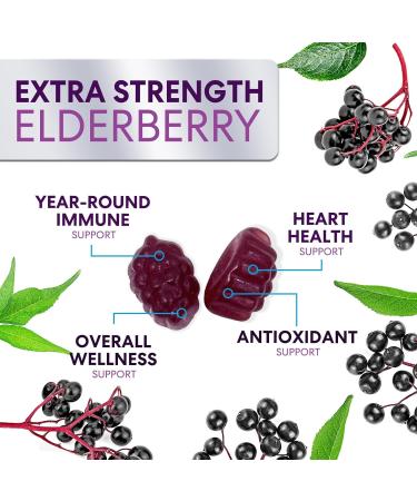 Elderberry Gummies - 3X Strength Black Elderberry Immune Support Gummy with Vitamin C D3 and Zinc for Kids & Adults Immune Health Support Supplement Gummy Black Elder Berry Vitamins - 120 Gummies 120 Count (Pack of 1) - Buy Online on GoSupps.com