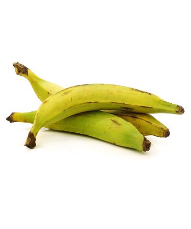 Fresh Whole Plantains (5lb) Tropical Importers