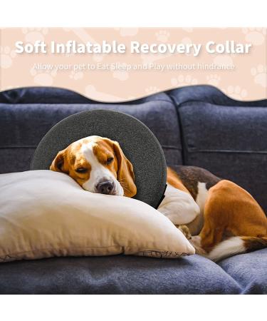 WONDAY Inflatable Dog Cone XL - Adjustable Recovery Collar for Post-Surgery Healing - Soft & Comfy Protective Collar for Wound Recovery - Prevent Biting & Scratching - Grey - Buy Online on GoSupps.com