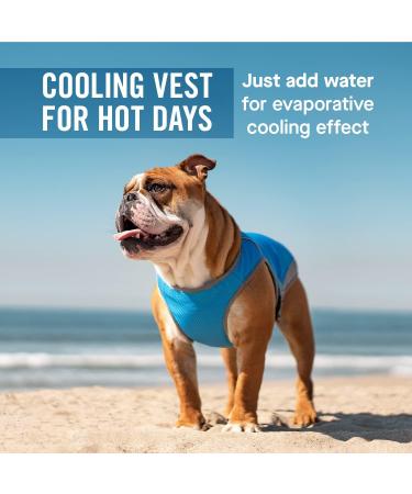 Canada Pooch Dog Cooling Vest - Breathable Mesh, Reflective Lining, Adjustable - Aqua, 18 (17-19) - Evaporative Cooling for Dogs - Buy Online on GoSupps.com