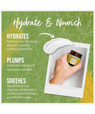 Beauty Kitchen - Hydrating Abyssinian Oil Night Halo Potent Sleep Mask 60ml - Anti Aging Overnight Mask for Glass Skin - Supports Skin Barrier - Vegan/Cruelty Free - Buy Online on GoSupps.com