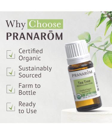 Pranarom USDA Certified Organic Tea Tree Essential Oil (15ml) 100% Pure Undiluted Therapeutic Grade from Zimbabwe for Aromatherapy Diffuser Healthy Skin & Hair Massage Relaxation 0.5 Fl Oz (Pack of 1) - Buy Online on GoSupps.com