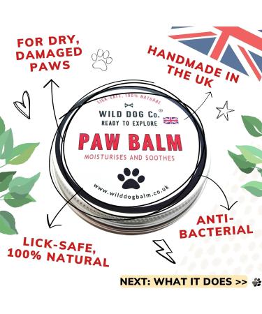 Dog Paw Balm for cracked dry itchy sore paws pads nose balm paw butter soother for dogs moisturises 100% natural soothing paw protector Made in the UK. 60g - Buy Online on GoSupps.com