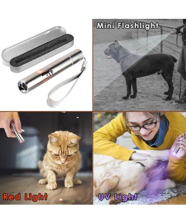 PUTEKCO Cat Chaser Toys Interactive Teaser Wand USB Rechargeable Upgrade 3 in 1 Function include Flashlight and UV Light Multi-Pattern Funny Pet Command Pet Training Exercise Tool for Cat Dog - Buy Online on GoSupps.com