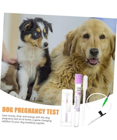 JOEBO Dog Pregnancy Test Strip - Early Detection Urine Test for Pets | Home Test Kit for Puppy Pregnancy - Buy Online on GoSupps.com