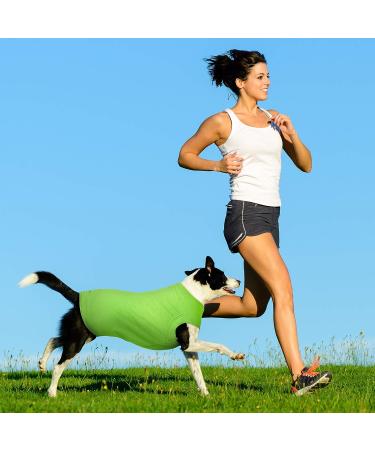 8-Piece Dog T-Shirt Set for Medium Dogs - Summer Breathable Cotton Pet Clothes - Buy Online on GoSupps.com