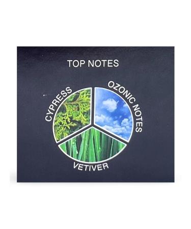 LOYAL SPIRIT Eau de Toilette for Men 3.4 fl oz Cypress Ozonic Vetiver - Buy Online on GoSupps.com