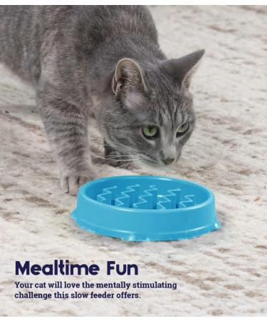 Petstages Kitty Slow Feeder Cat Bowl in Blue - Reduce Eating Speed and Promote Healthy Digestion - Buy Online on GoSupps.com