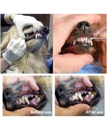 Symphonyw Stainless Steel Dog Calculus Remover - 2PCS Dental Teeth Cleaning Tools - Buy Online on GoSupps.com