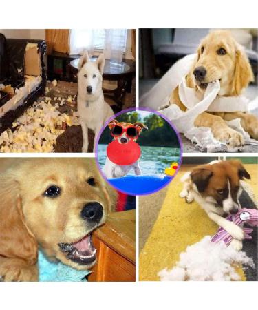 WENYIEN 3 Piece Frisbees for Dogs Pet Flying Saucer Rubber Flying Disc Interactive Outdoor Toy 7 Inches/18 cm Perfect for Dog Throw Training Playing and Catching - Buy Online on GoSupps.com