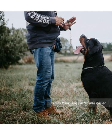 Professional Dog Whistles - Hongecb 2-Piece Stainless Steel Set | Adjustable Pitch Frequency Lock for Effective Dog Training - Buy Online on GoSupps.com
