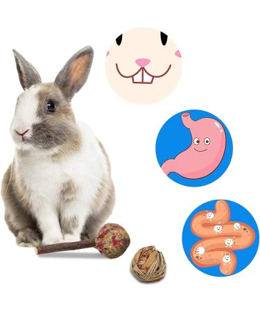 AKlamater 14Pcs Rabbit Chew Toys Natural Sticks for Rabbits Loofah Wood Grass Ball String for Rabbits Guinea Pig Hamsters Chinchilla - Buy Online on GoSupps.com