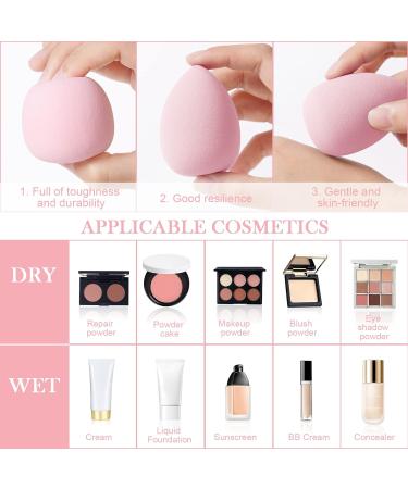 AUAUY 6 Pcs Makeup Sponges Blender Set 4 Pcs Professional Beauty Sponge Foundation Blending Blender with 1 Powder Puff 1 Sponge Holder Case Multi-colored Makeup Sponges for Cream Liquid and Powder 4pcs-Pink - Buy Online on GoSupps.com