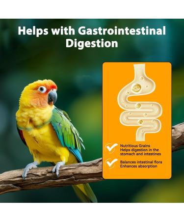 Nobleza - Parakeet Food Premium Bird Seed Tasty and Healthy Bird Feed (500g) - Buy Online on GoSupps.com