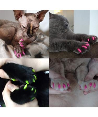 Pet Nail Caps - Anti-Scratch Medium Size Rose Red 20 Pack | International Shipping Available - Buy Online on GoSupps.com