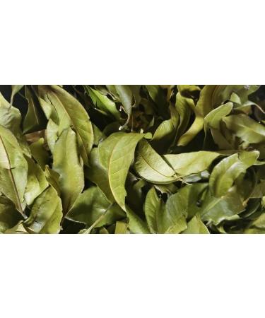Jamaican Pimento Leaves 28g (1 ounce) - Buy Online on GoSupps.com