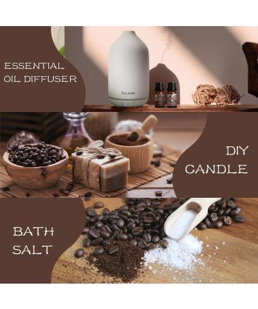 SALKING Coffee Shop Fragrance Oils Set - Scented Oils Gift Set for Soap & Candle Making - Blueberry Pancakes, Coffee, Hot Chocolate, French Vanilla, Black Tea - Caf Latte Aromatherapy - Buy Online on GoSupps.com