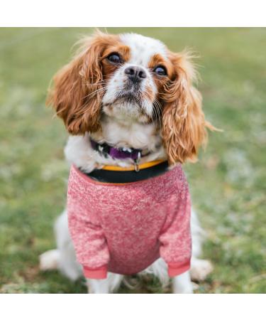 Wisebom 4PCs Winter Dog Sweater - Classic Knit Jumpers for Small & Medium Dogs | Warm Soft & Easy to Wear (XS L) - Buy Online on GoSupps.com