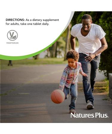 NaturesPlus Ultra II Multivitamin 90 Vegetarian Tablets - Whole Food Supplement for Overall Health & Natural Energy - 90 Servings - Buy Online on GoSupps.com