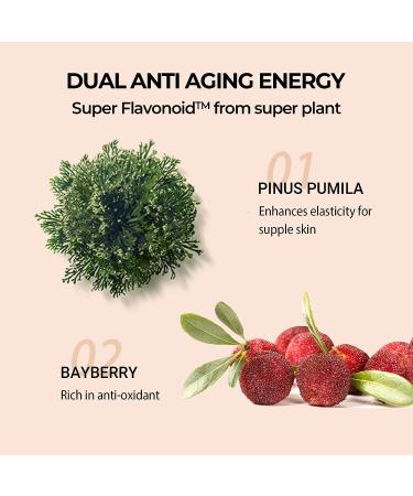 IOPE Super Vital Cream Rich 50ml - Anti-Aging Moisturizer for Brightening, Wrinkle Reduction, and Deep Hydration - Buy Online on GoSupps.com
