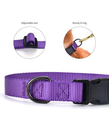 Audwud Thick Nylon Neck Band | Adjustable Classic Dog Collar in 4 Sizes & Colors | Perfect for Small Medium & Large Dogs - XS: 25-36 cm in Purple - Buy Online on GoSupps.com