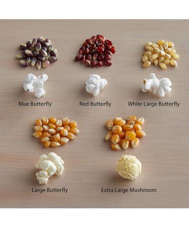 Concession Essentials Gourmet Mushroom Extra Large Popcorn Kernels - 2lbs 2lb-Mushroom Kernels - Buy Online on GoSupps.com