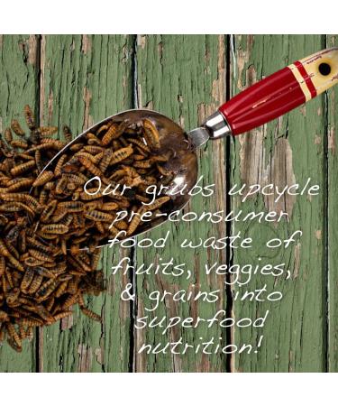 Cluckin' Good Grubs for Chickens - Natural Protein and Calcium Supplement - USA Grown Black Soldier Fly Larvae 3.5 lb - Buy Online on GoSupps.com