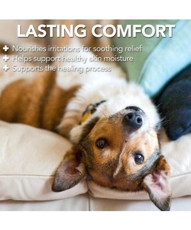 Vet's Best Hot Spot Relief Spray - 250ml | Soothes Dry Skin, Itching & Hot Spots | No-Sting & Alcohol-Free - Buy Online on GoSupps.com