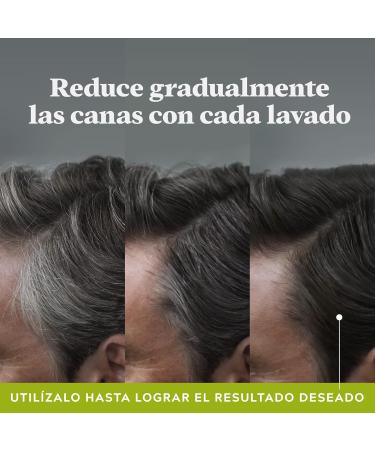 Just For Men Control Gx Champ Reductor De Canas 118 Ml Hombre - Buy Online on GoSupps.com