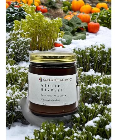 Winter Harvest Luxury Soy Coconut Candle