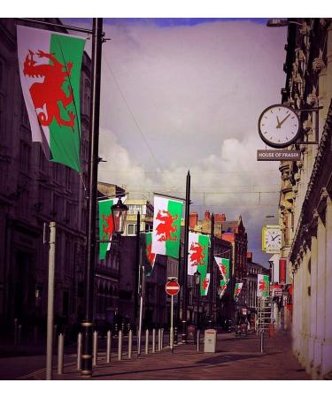 Shachi Great Wales Flag - Welsh Dragon 3ft x 2ft | Polyester Tissue with Brass s for FIFA World Cup Football Rugby & Sports - Buy Online on GoSupps.com