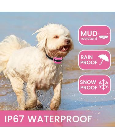 Rechargeable Small Dog Bark Collar | Humane & Safe Anti Bark Training | 7 Sensitivity Levels | Beep Vibration Mode | Pink - Buy Online on GoSupps.com