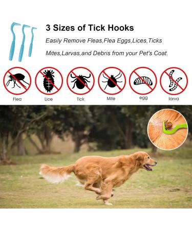 Izyfan Tick Hook Set - 3 Sizes for Quick Tick Removal | Safe for Dogs Cats Horses & Humans | Blue Zecke Note Set - Buy Online on GoSupps.com