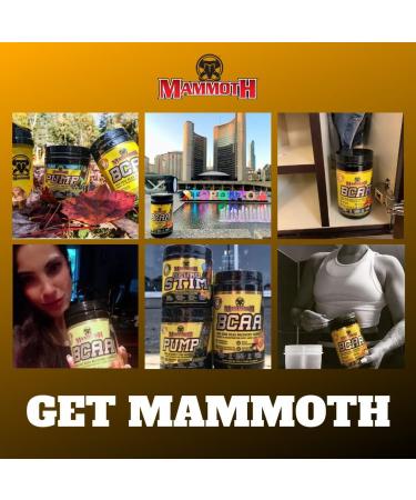 Mammoth BCAA 40 serve - Peach Mango 520 gram Peach Mango 520 gram - Buy Online on GoSupps.com