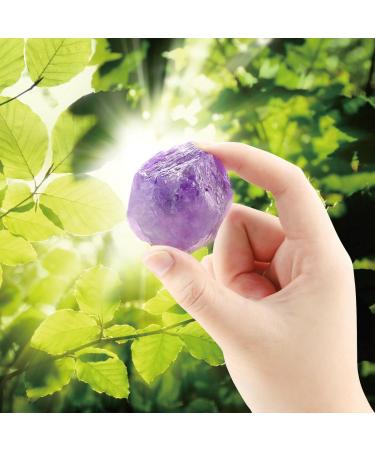 Xiannvxi 2 Big Amethyst Crystals Set | 100% Natural Healing Stones & Meditation Gems - 4PC Premium Gemstone Collection - Buy Online on GoSupps.com