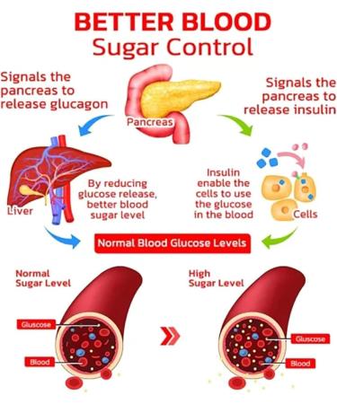 GlucoSync Health Control Aerosolizer Sugar Control Nasal Inhaler Natural and Safe Inhalers for Maintaining Blood Sugar Levels 3pcs - Buy Online on GoSupps.com
