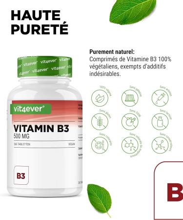 Vitamin B3 (Niacin) - 500 mg - 365 Tablets - High Dose Nicotinamide - Flushfree - No Additives - Vegan - Buy Online on GoSupps.com