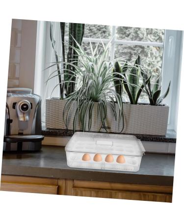 MAGICLULU 1pc Egg Storage Box Fridge Refrigerator Egg Bin Food Storage Case Food Rack Dumpling re-usable 32.5x22.5cm Assorted Color - Buy Online on GoSupps.com