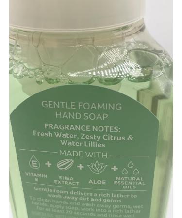 Toadally Terrific Gentle Foaming Hand Soap - 8.75 oz | International Shipping Available - Buy Online on GoSupps.com