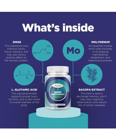 Nootropic Brain Supplement for Memory and Focus Enhancement - Vitamins for Brain, Mental Health & Clarity - Cognitive Health Complex for Mind's Vitality & Mental Alert - 60 Capsules - 3 Pack - Buy Online on GoSupps.com