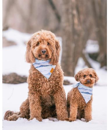 Remy+Roo Dog Bandanas 4 Pack - Ryan Set | Premium Durable Fabric | Adjustable Fit | Unique Shape | Large Size - Buy Online on GoSupps.com