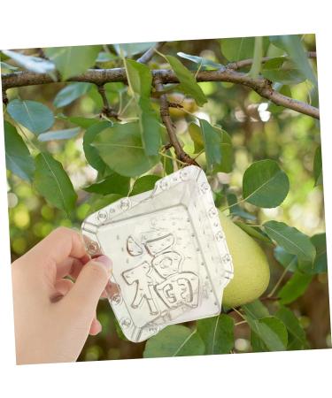 Mipcase 2pcs Square Apple Molds Fruit Vegetable Molds for Gardening Melon Stereotypes Plastic - Buy Online on GoSupps.com