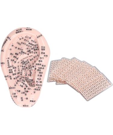 Ear Point Probe Set with Auricular Patches, Tweezer, and Ear Model for Acupoint Search Massage - Buy Online on GoSupps.com