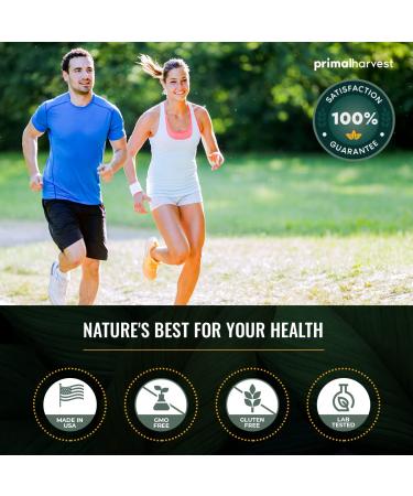 Primal Harvest Super Greens Powder - 30 Servings with 50+ Superfoods for Energy Boost - Green Tea, Chlorella, Probiotics, Kale, Turmeric - Primal Greens Green Powder - Buy Online on GoSupps.com