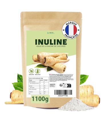 DETOX ORGANICA Inuline en Poudre 1 100 g (1 1 kg) 100% Pure de Chicor e Sans Additifs Vegan Sans Gluten & Sans Lactose Qualit Contr l e Fibre Pr biotique Naturelle Haute Qualit